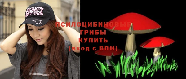 молекула духа Алзамай