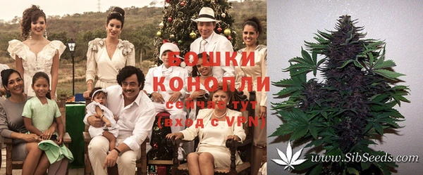 бошки Алексеевка
