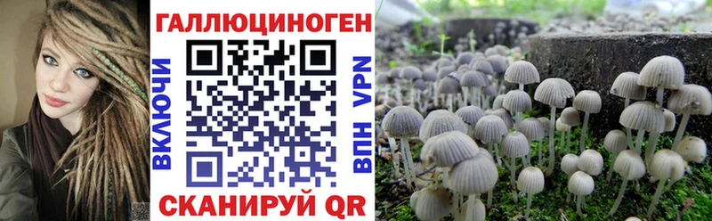 Галлюциногенные грибы Cubensis  Анапа 